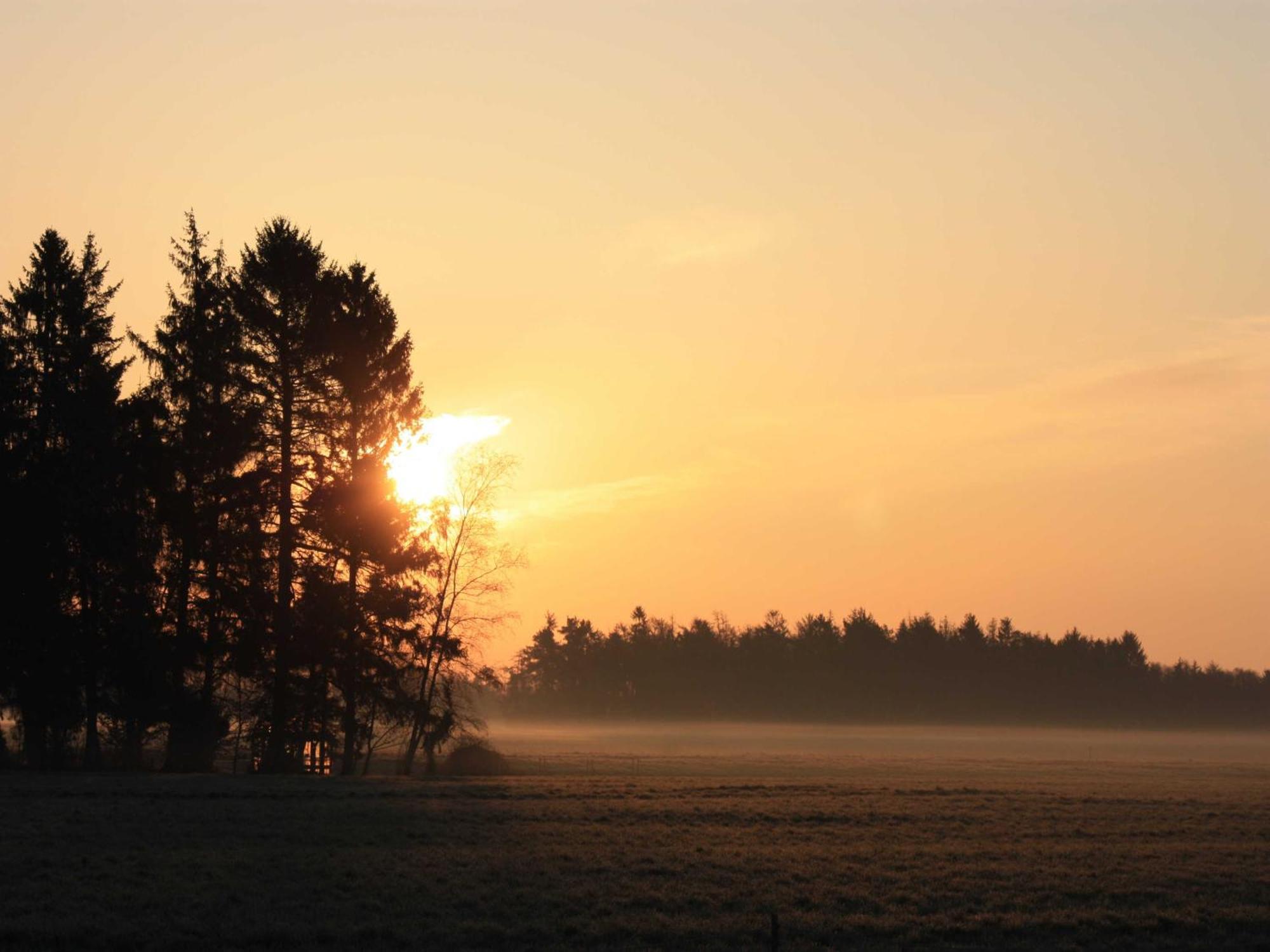 Herzfeldhof Worpswede Esterno foto