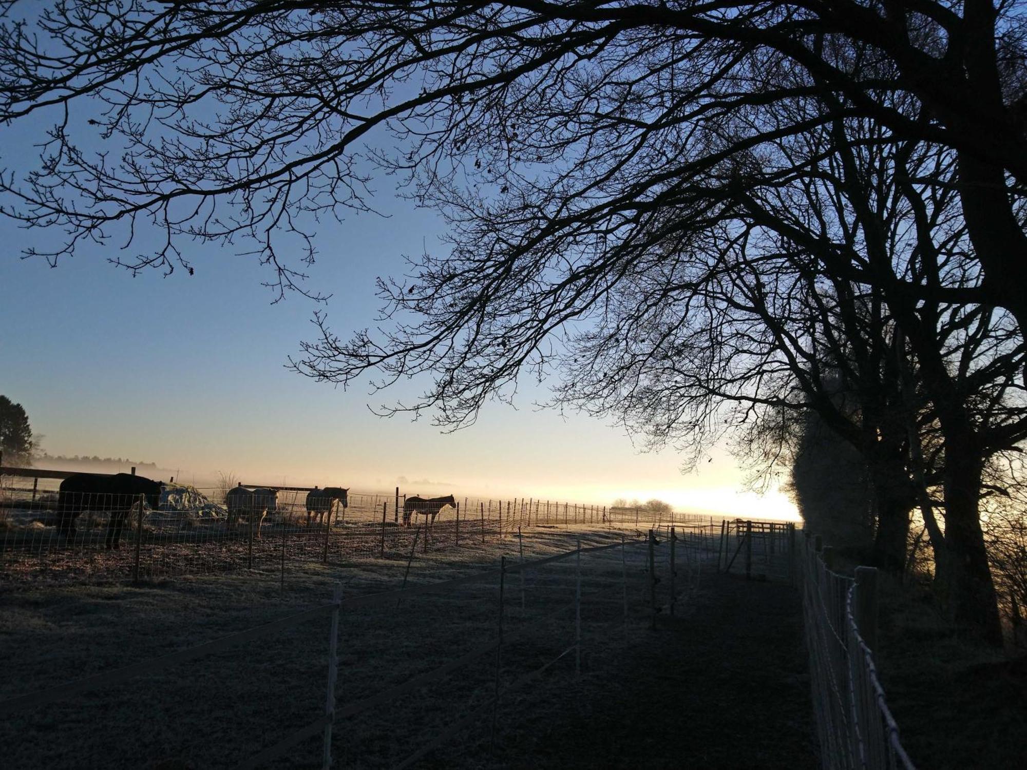 Herzfeldhof Worpswede Esterno foto